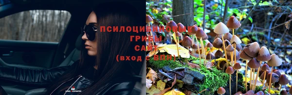 скорость Алексин