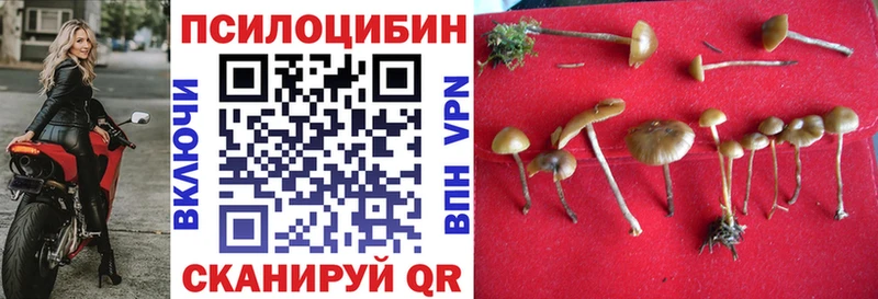 Галлюциногенные грибы ЛСД  Лодейное Поле 